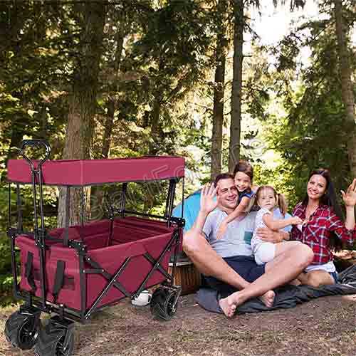 Camping Garden Shopping Sports Folding Canopy Wagon 